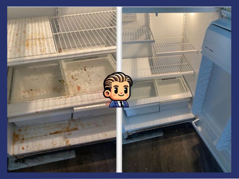 Before and After Fridge Cleaning