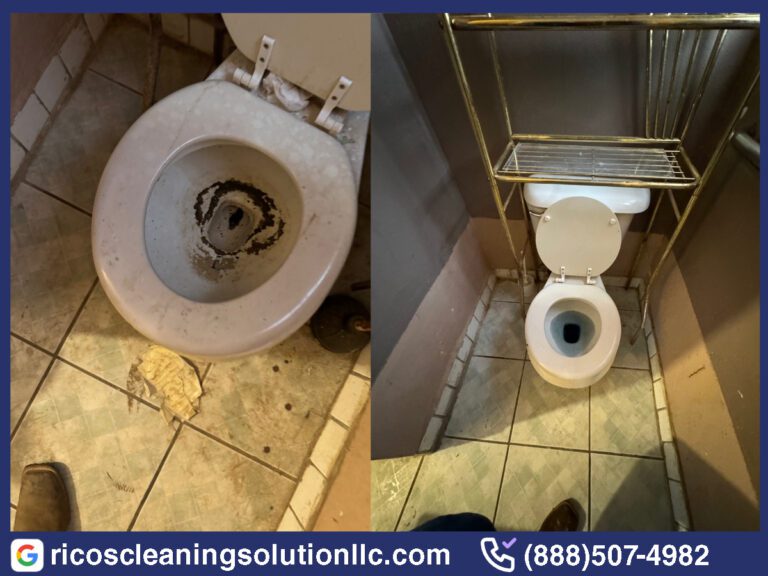 Before and After Toilet Cleaning