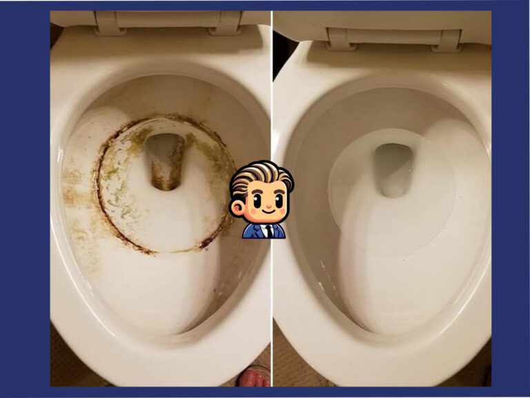 Before and After Toilet Cleaning